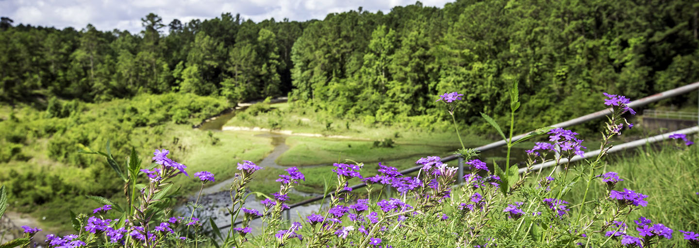 Louisiana Myths & Legends Byway - Allen, Beauregard & Vernon Parishes