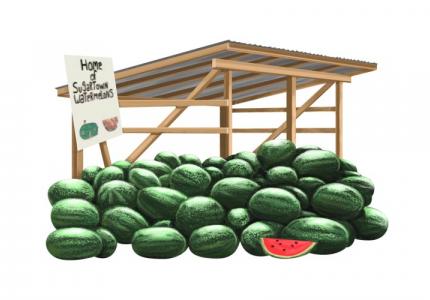 Sugartown Watermelon Stand - Beauregard Parish Louisiana