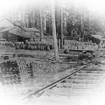 Life in a Logging Camp Myths & Legends